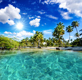 Fototapeta  - Caribbean: Lonely beach :)