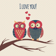 Vector Colorful Illustration With Two Owls In Love