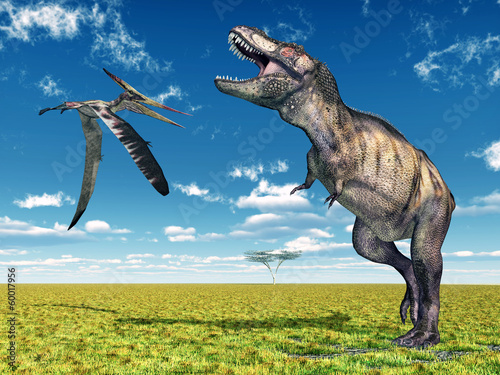Fototapeta do kuchni Tyrannosaurus Rex und der Flugsaurier Pteranodon