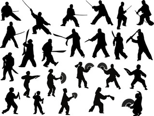 Wall Mural - twenty four different fighter silhouettes