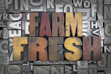 Wall Mural - Farm Fresh