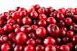 Red ripe cranberries