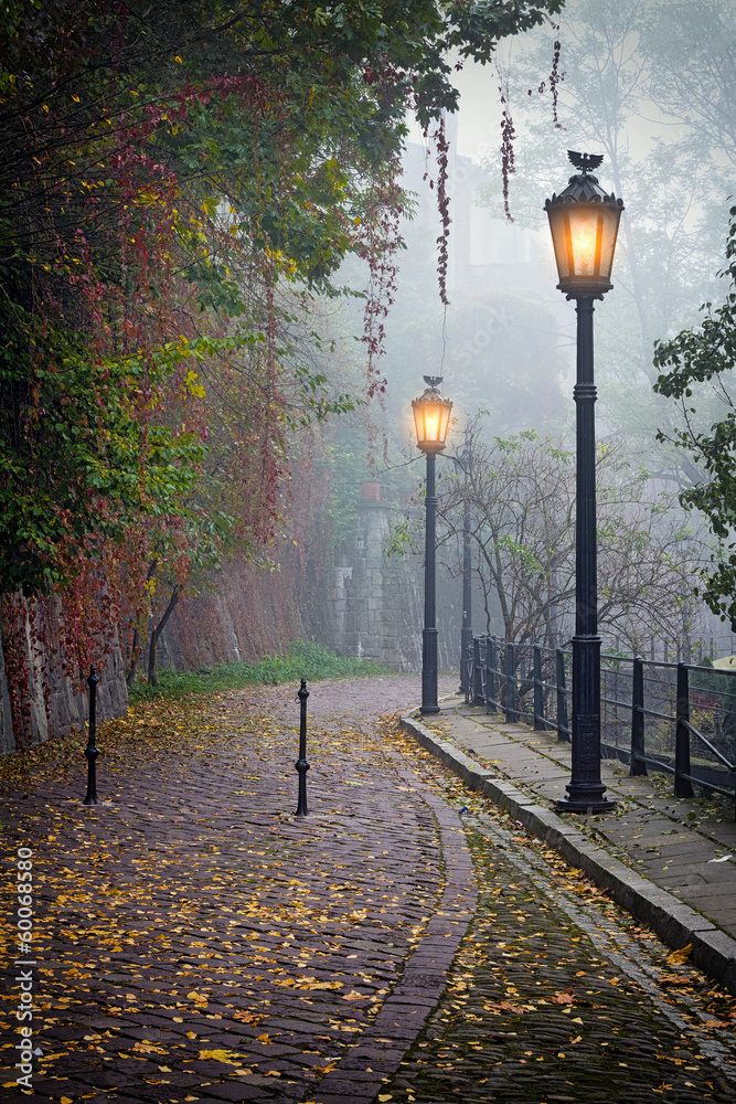 The mysterious alleyway in foggy autumn time with lighted lamps - obrazy, fototapety, plakaty 