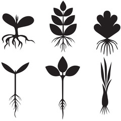 Canvas Print - Silhouette sprout set