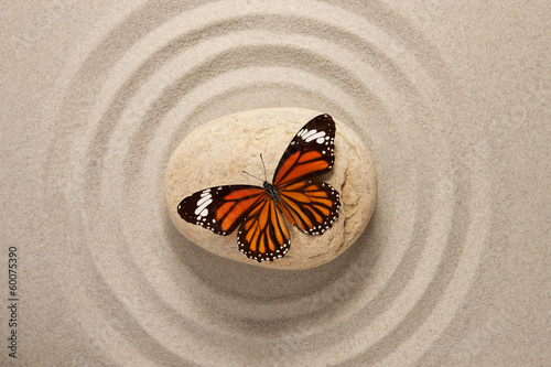 Naklejka dekoracyjna Zen rock with butterfly