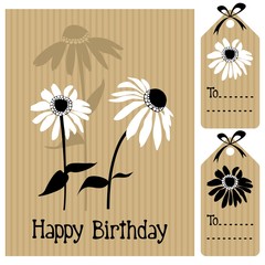 Wall Mural - Eechinacea, daisy, vector illustration greeting card