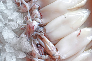 Poster - Fresh squid in the market