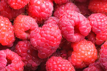 Canvas Print - raspberries close up