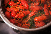 Crayfish In Pan