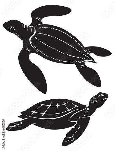 Naklejka dekoracyjna turtle