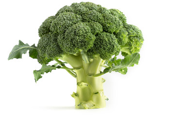 fresh green broccoli