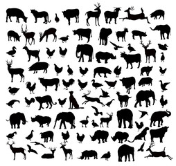 Wall Mural - Animals & Birds Silhouette set - vector