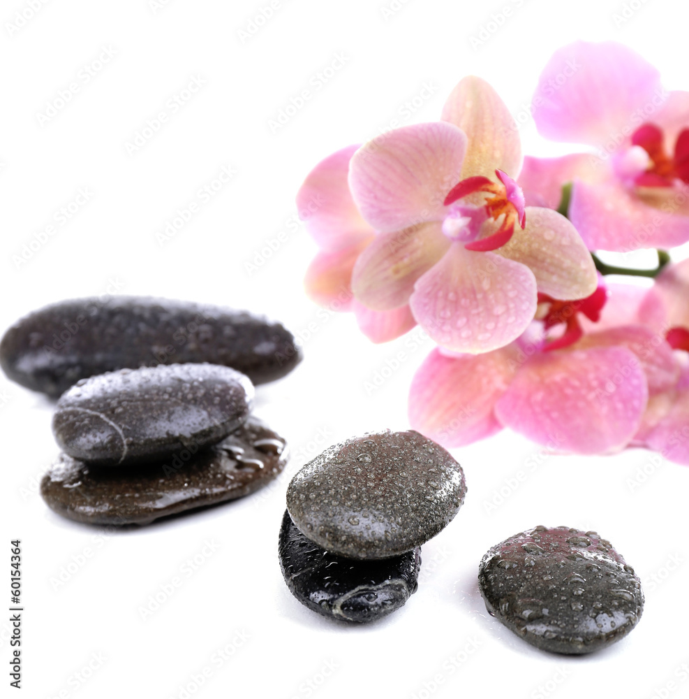 Composition with beautiful blooming orchid with water drops and