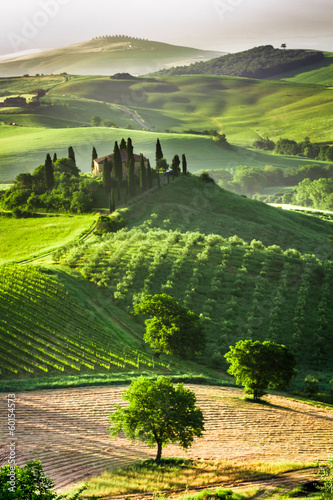 Nowoczesny obraz na płótnie Gospodarstwo gajów oliwnych i winnic, Włochy