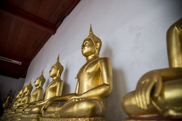 Row of sitting golden buddha statue