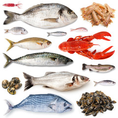 Poster - collage di pesce fresco