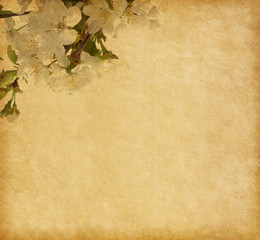 Wall Mural - Beige paper background with cherry blossom...