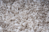 Fototapeta Do akwarium - Carpet detail