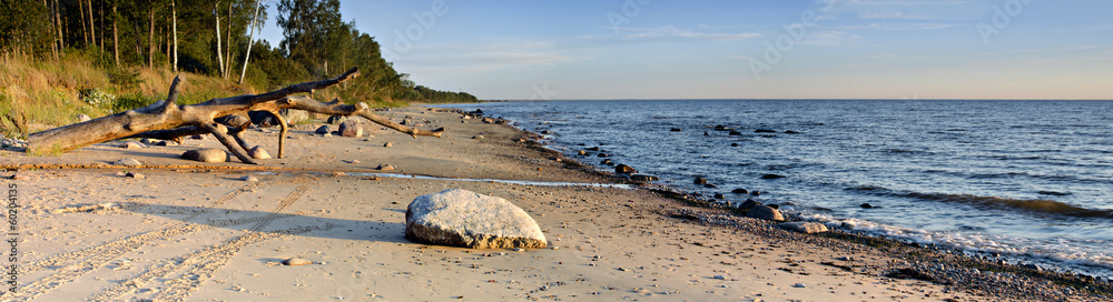 Stony beach at the gulf of Riga, Baltic Sea, Latvia - obrazy, fototapety, plakaty 