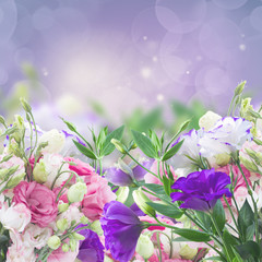 Plakat pąk fiołek kwitnący roślina