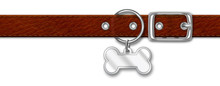 Brown Leather Collar With Tag