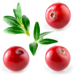 Wall Mural - Cranberry with leaf. Collection on white background