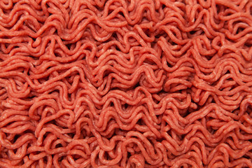 Canvas Print - Mince beef isolated on a white studio background.