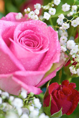 Wall Mural - flowers