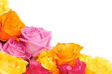 Wall Mural - flowers