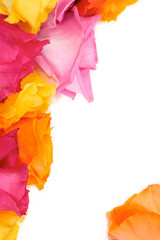 Wall Mural - flowers