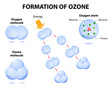 molecules ozone and oxygen