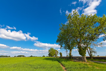 Wall Mural - Idyllic rural landscape, Cotswolds UK