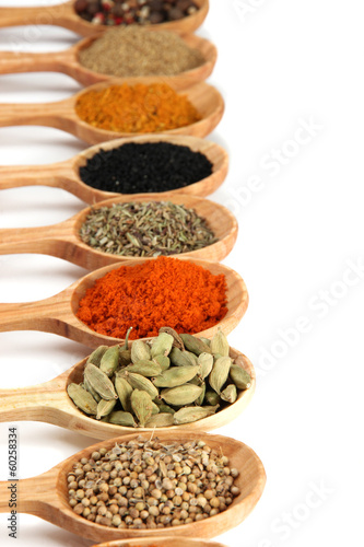 Fototapeta na wymiar Assortment of spices in wooden spoons, isolated on white