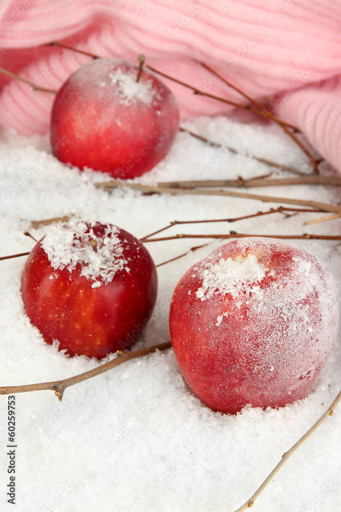 Red apples in snow close up