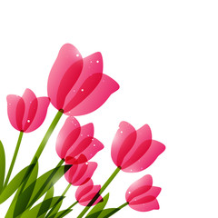 Sticker - Pink tulips  for Your design