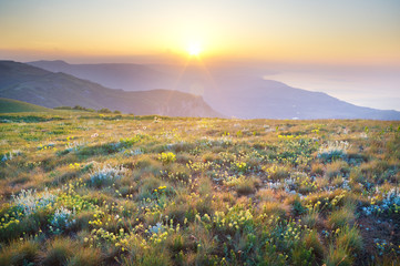 Poster - Sunrise in summer mountains.