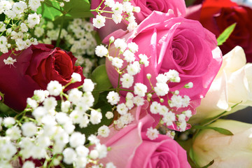 Wall Mural - flowers