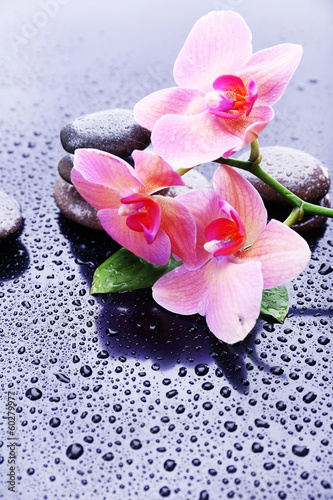 Naklejka na drzwi Composition with beautiful blooming orchid with water drops and