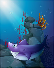 Wall Mural - A shark under the sea near the rocks