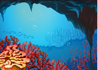 Poster - A view of the coral reef