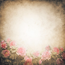 Grunge Background Template With Beautiful Pink Peony Flowers