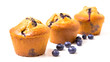 Blueberry muffins isolated on white background