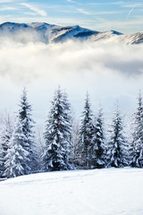 Sticker - Beautiful winter landscape with snow covered trees