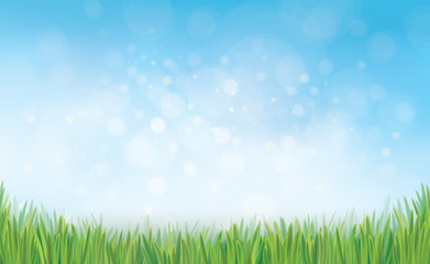 Wall Mural - vector nature background blue sky and green grass.