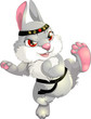 karate rabbit