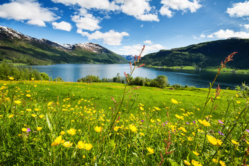 Wall Mural - Mountain lake in Norway