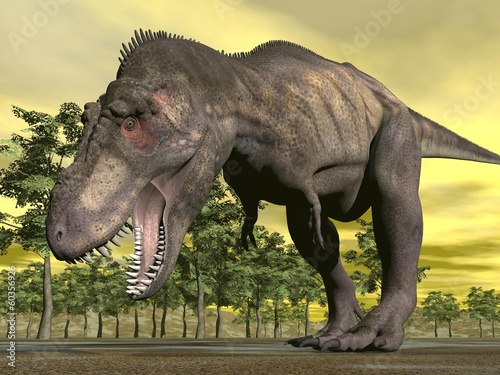 Tapeta ścienna na wymiar Tyrannosaurus angry - 3D render