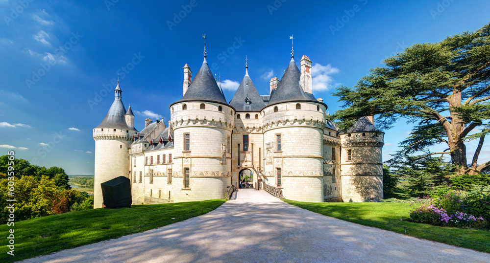 Chateau de Chaumont-sur-Loire, France. Medieval castle in Loire Valley in summer. - obrazy, fototapety, plakaty 