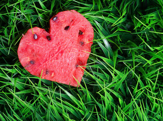 Wall Mural - Watermelon heart on green grass. Valentine concept