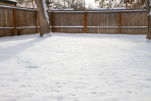 Backyard Of Snow